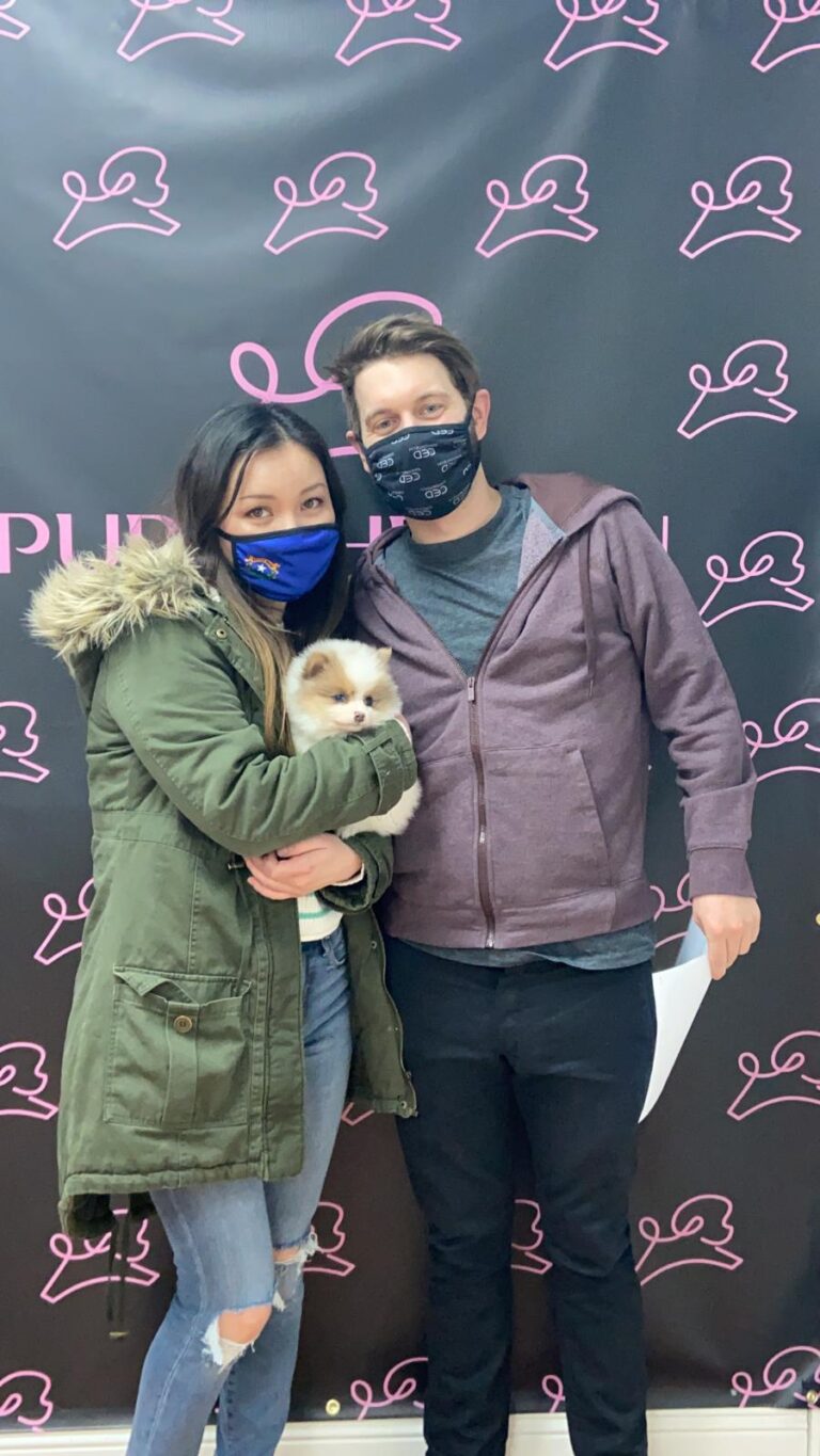 Family adopts a Teacup Pomeranian puppy at Puppy Heaven Las Vegas