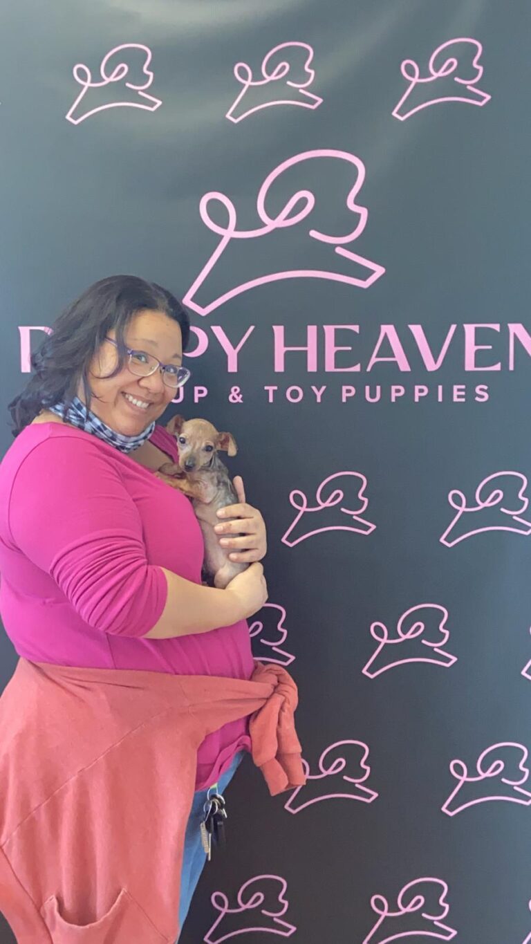 Puppy Heaven's Teacup & Toy Duchshund puppies Family Album