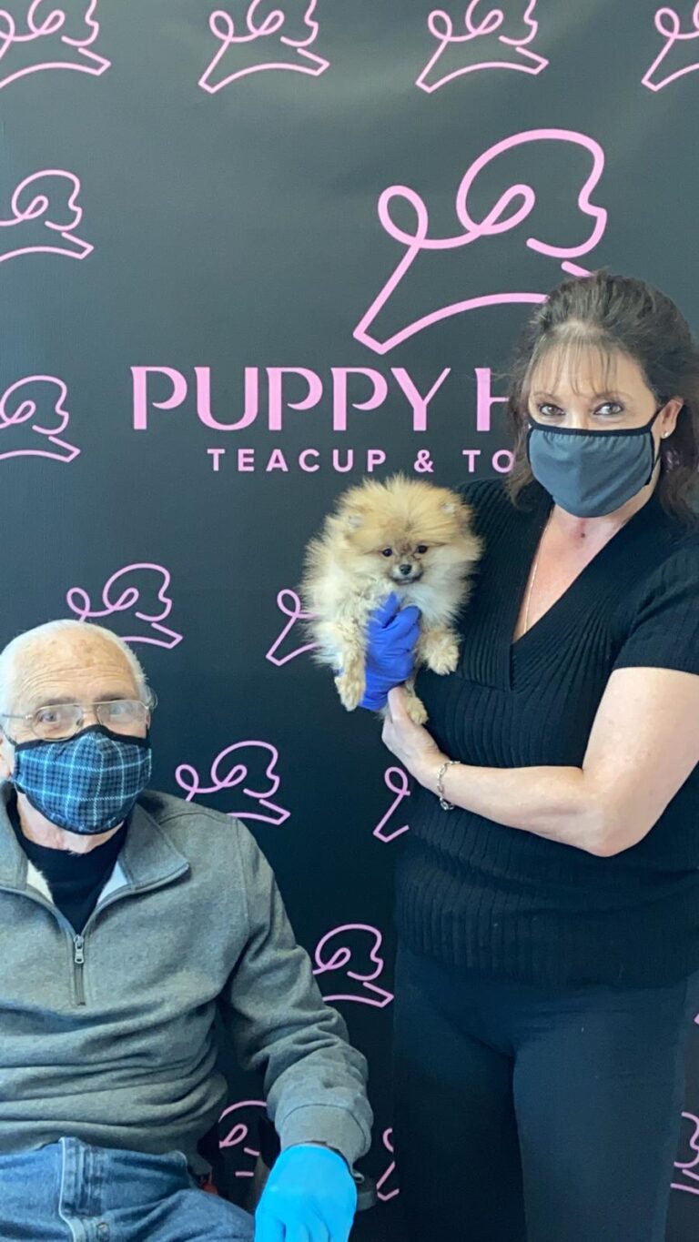 Family adopts a Teacup Pomeranian puppy at Puppy Heaven Las Vegas