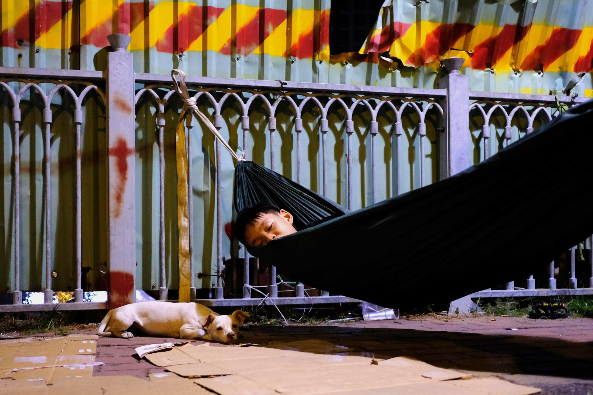 boy sleeping on hammock