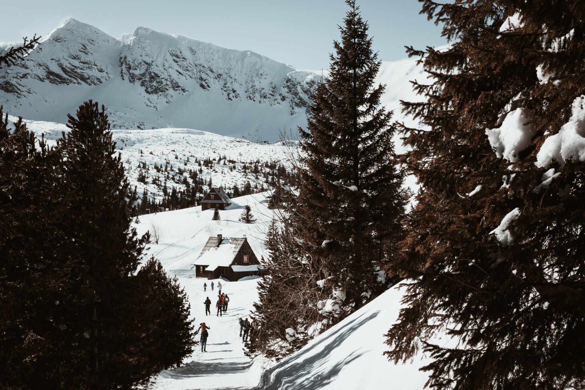 a group of people skiing down a snow covered slope